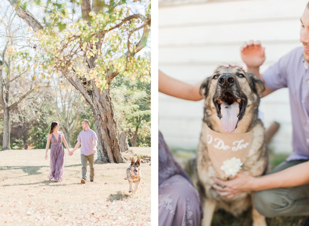 Romantic Fall Engagement with dog  in Southern Maryland by Costola Photography