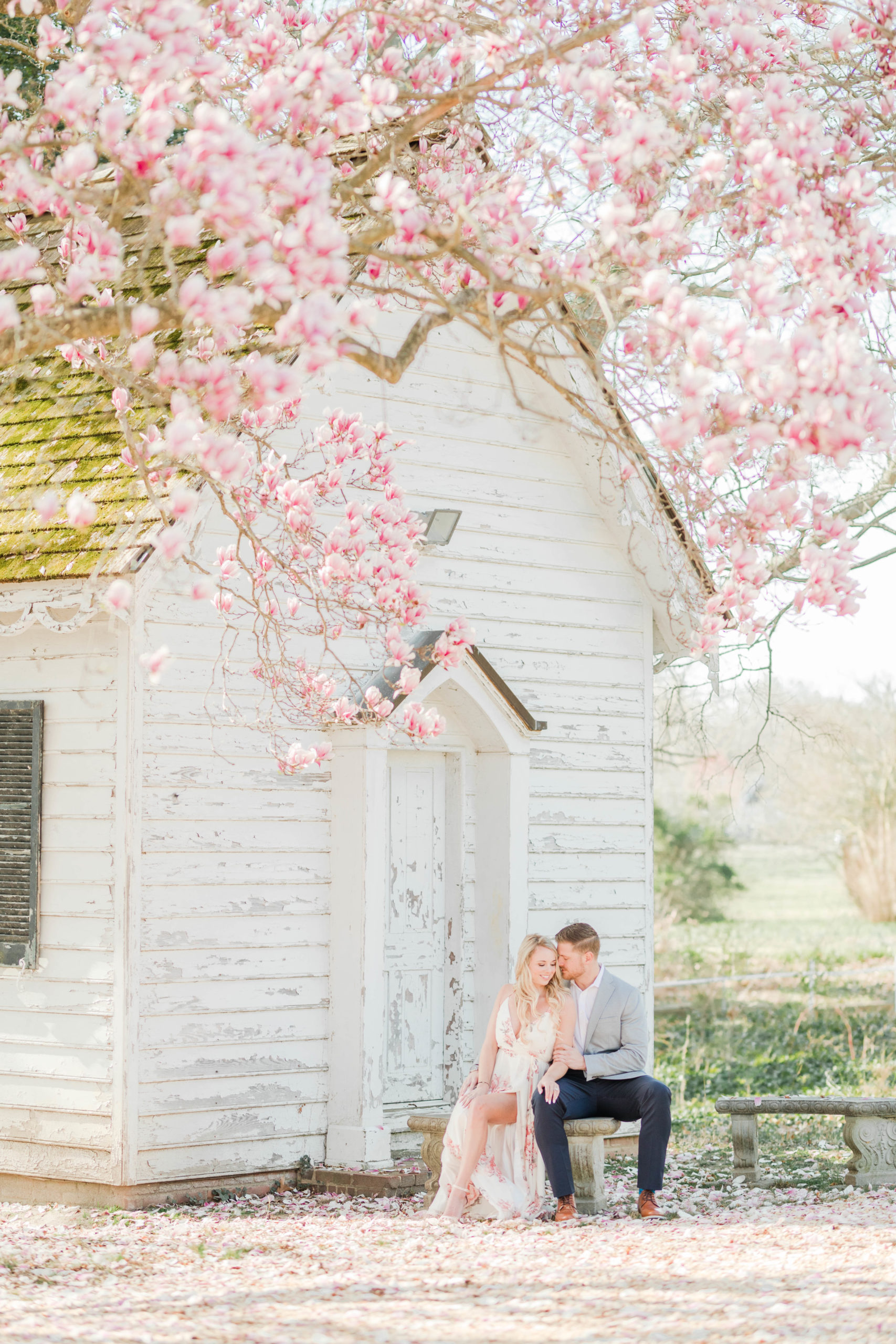 Couple sitting on a bench under cherry blossoms at Greenwell State Park for engagement session by Costola Photography