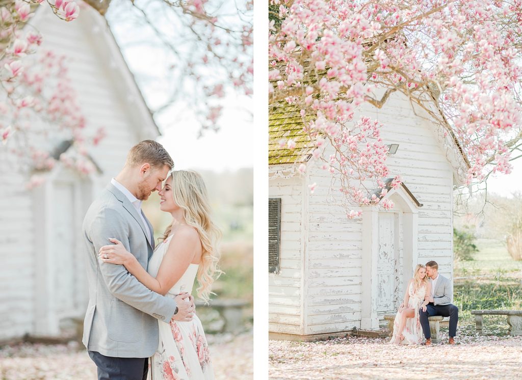 Couple sitting on a bench under cherry blossoms at Greenwell State Park for engagement session by Costola Photography