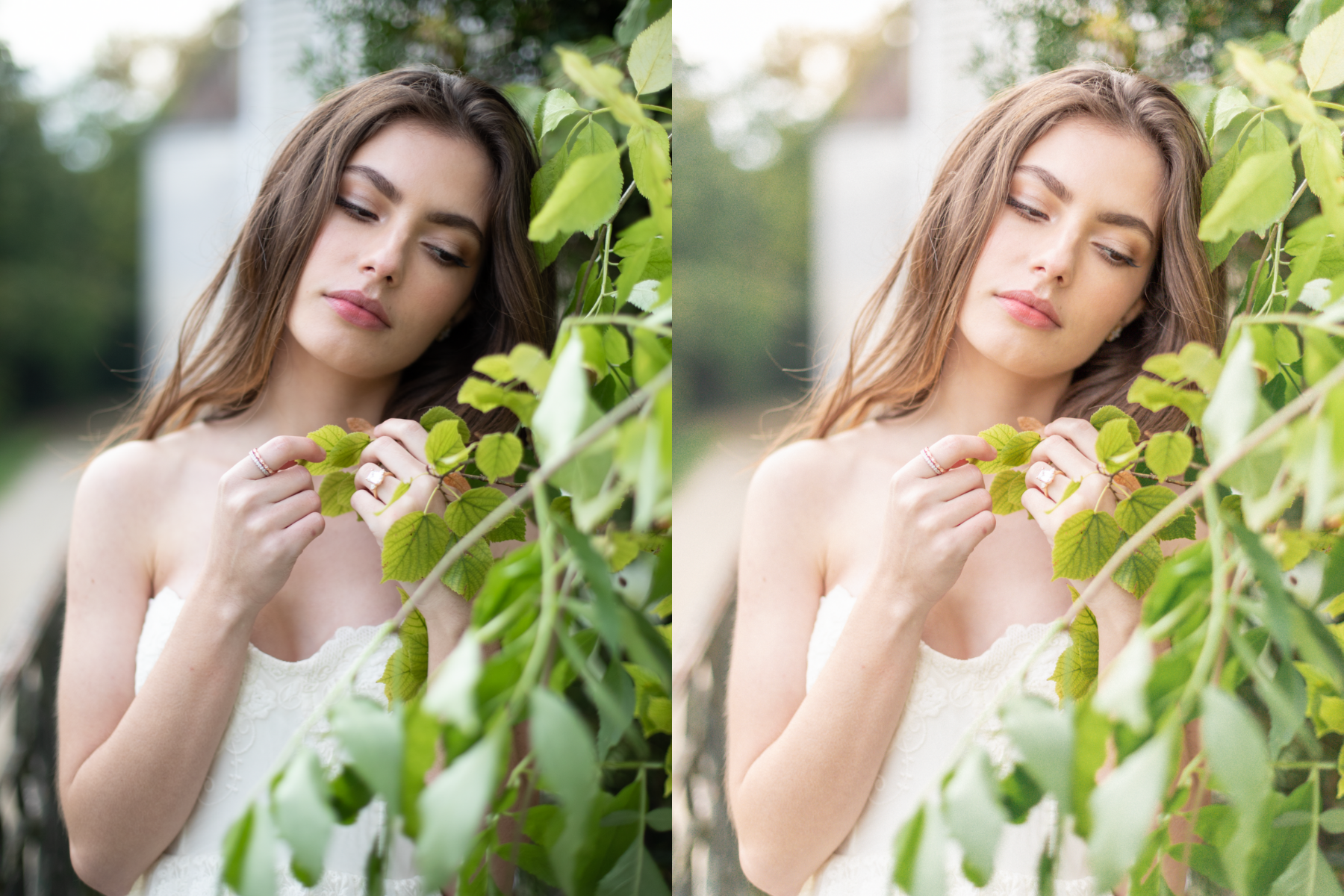 Before and After Lightroom Mobile Presets by Costola Photography