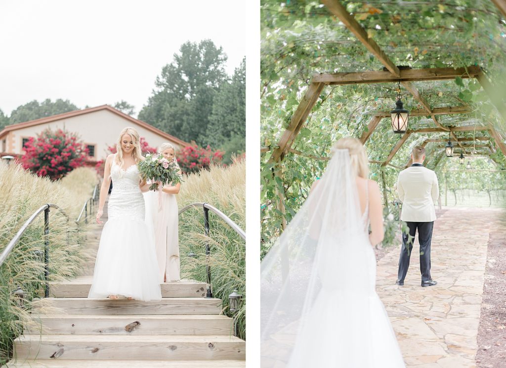 First Look under Vines by Costola Photography