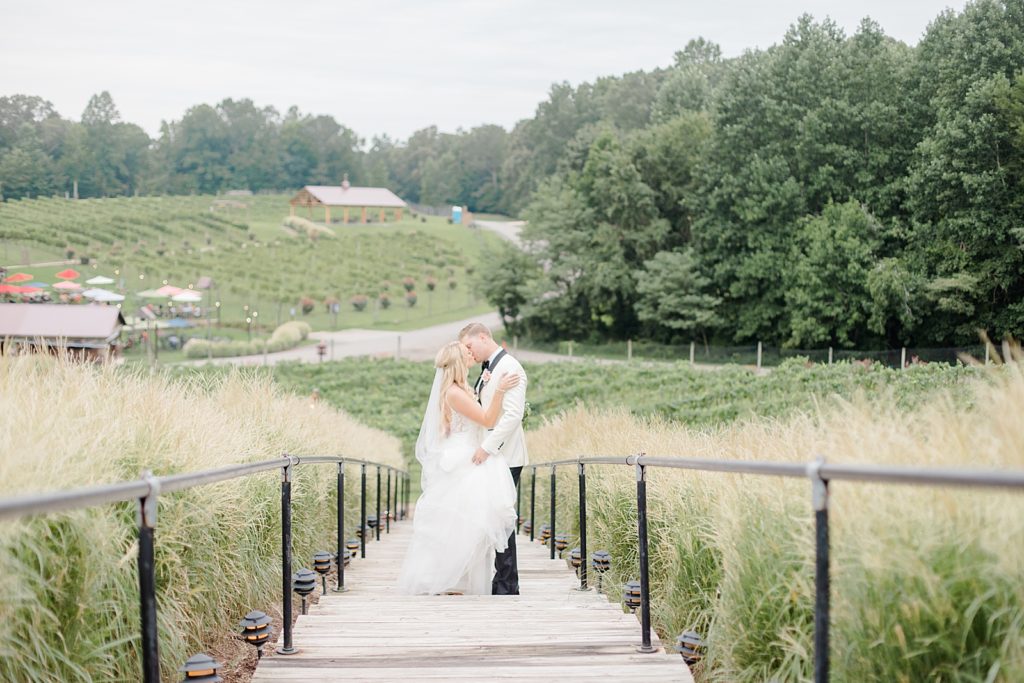 Bride and Groom at the running hare wedding by costola photography