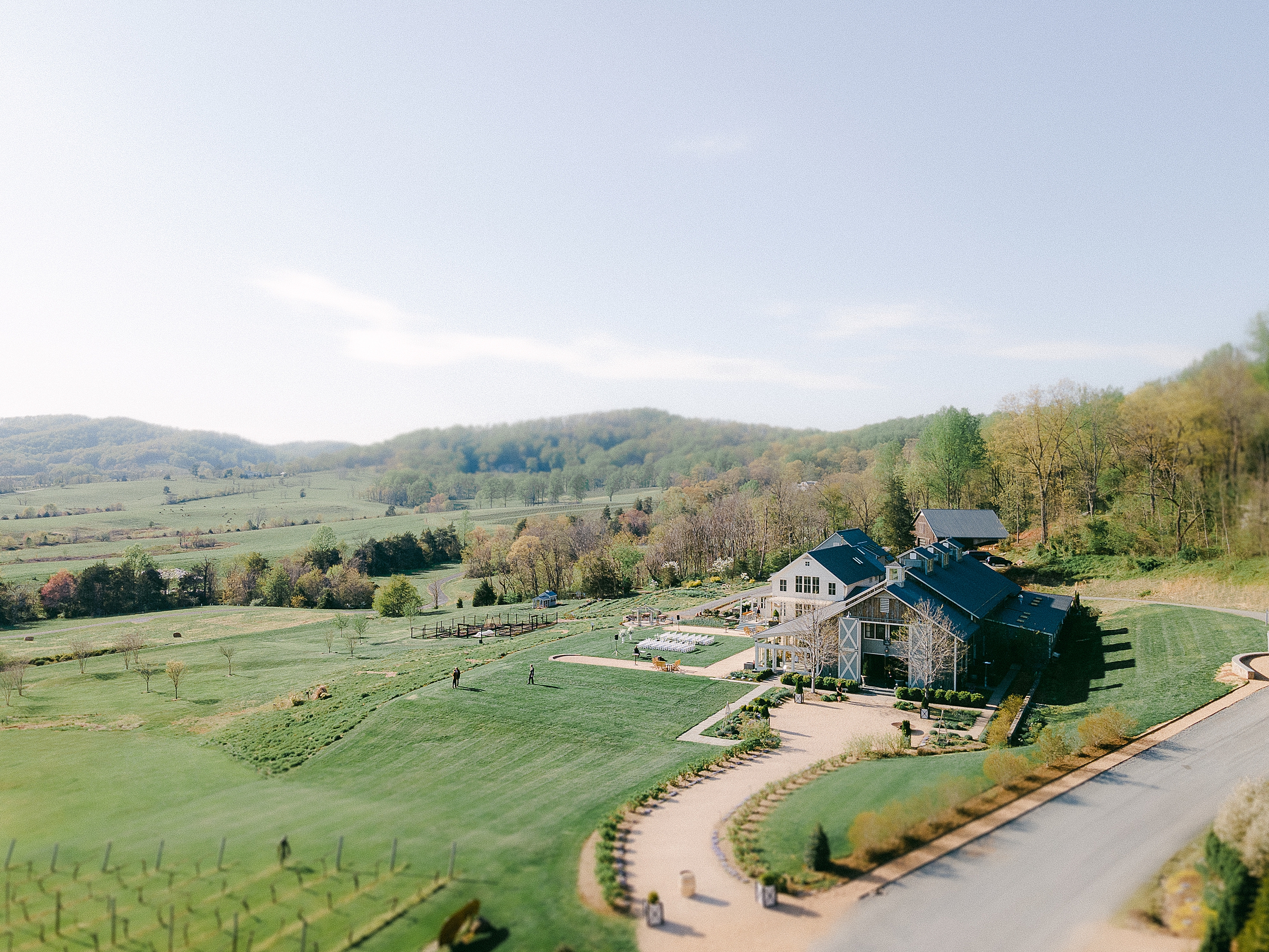 pippin hill farm and vineyard wedding